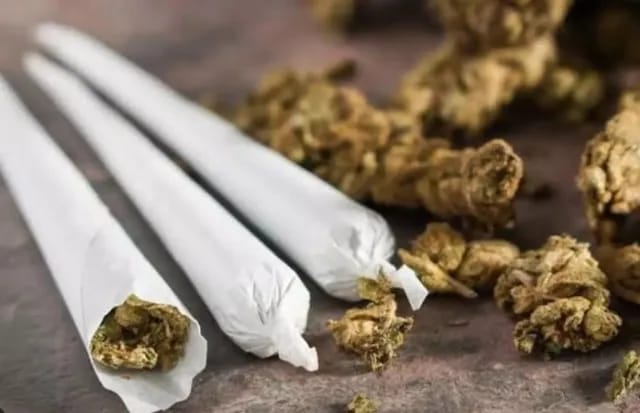 Foreign Cannabis : హైదరాబాద్‌లో విదేశీ గంజాయి కలకలం