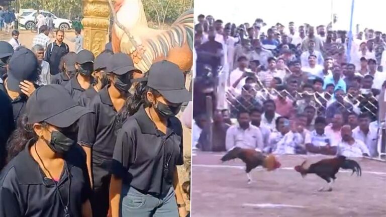 lady bouncers for kodi pandalu in andhra pradesh