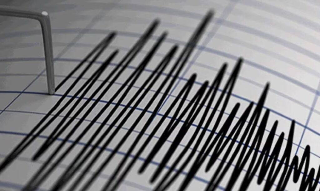 magnitude earthquake and tsunami