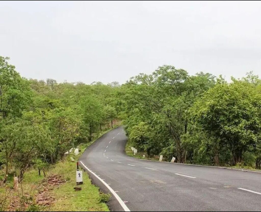 WhatsApp Image 2025 02 14 at 11.25.22