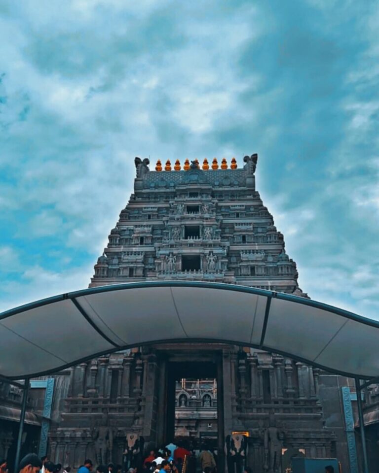 WhatsApp Image 2025-03-07 at 09.45.19