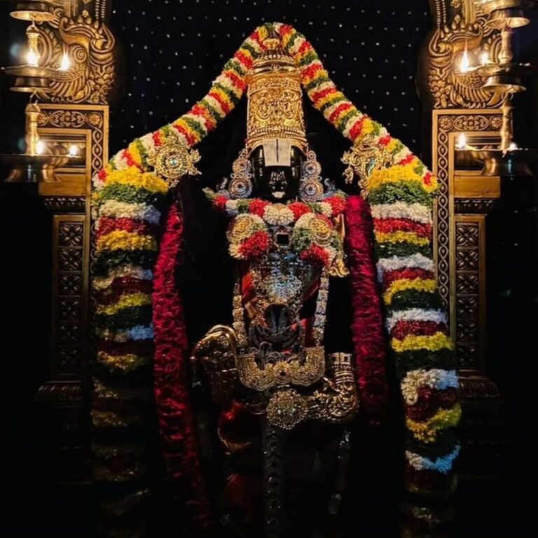 WhatsApp Image 2025-03-13 at 10.36.22 AM