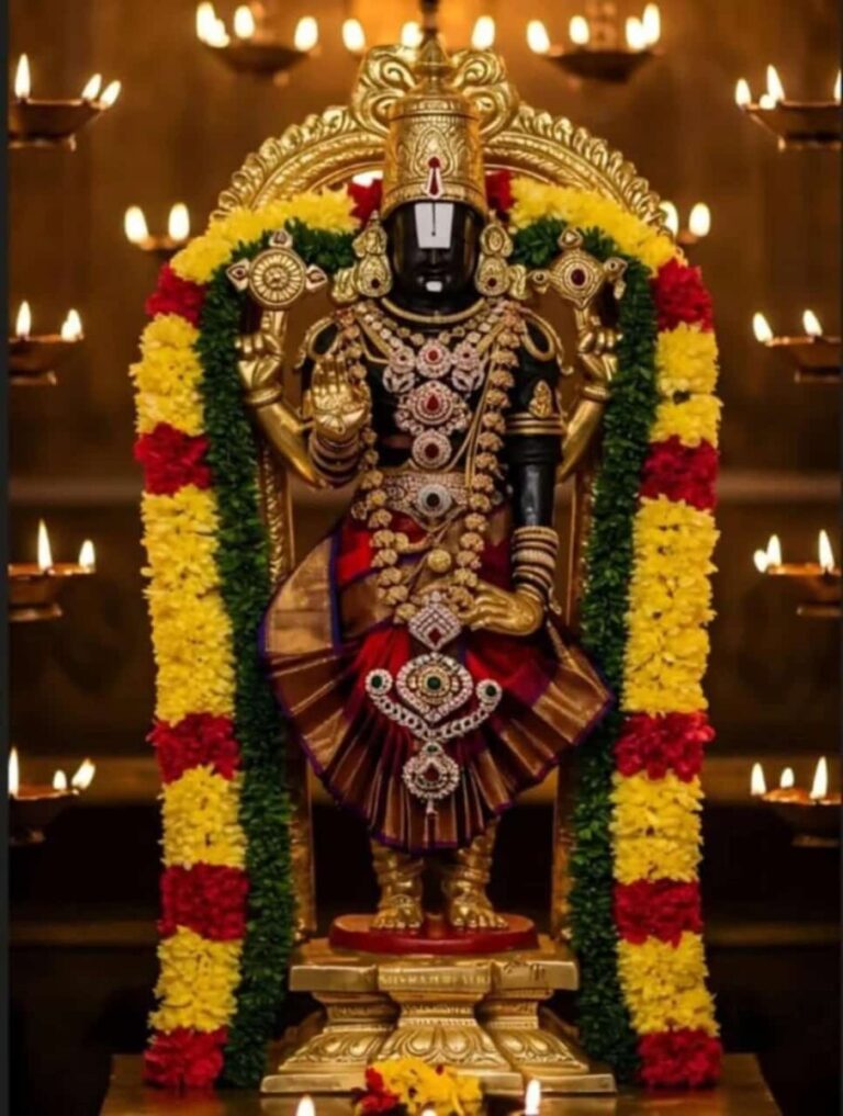WhatsApp Image 2025-03-15 at 11.52.28 AM