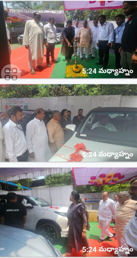 Toyota Cars Festival