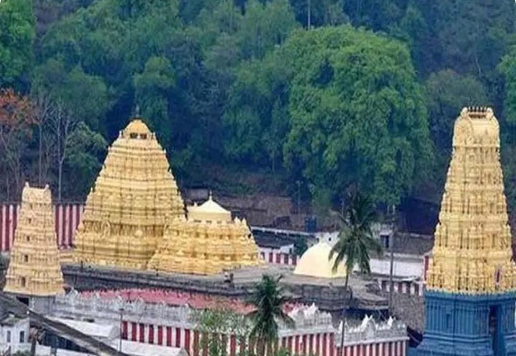 Chandanotsavam to be held at Simhachalam 