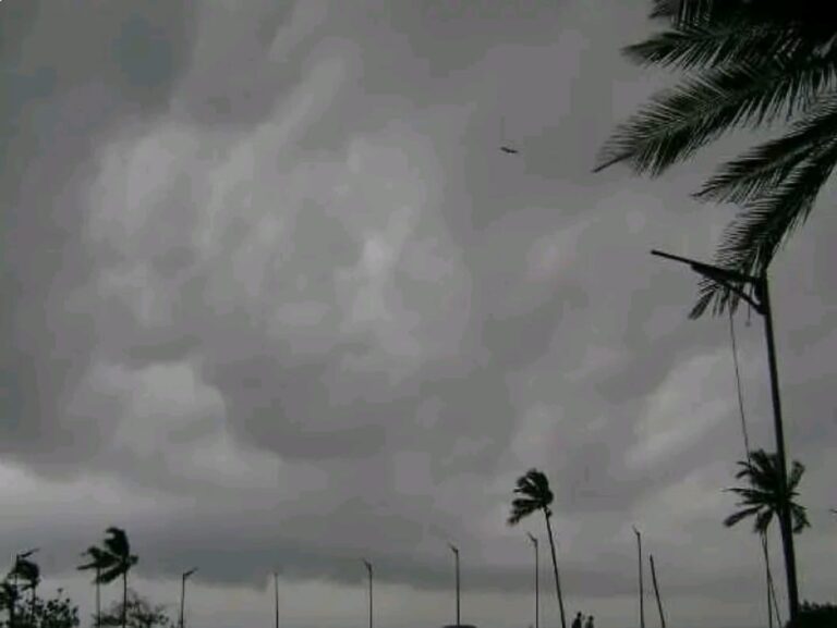 WhatsApp Image 2025-05-13 at 14.49.44