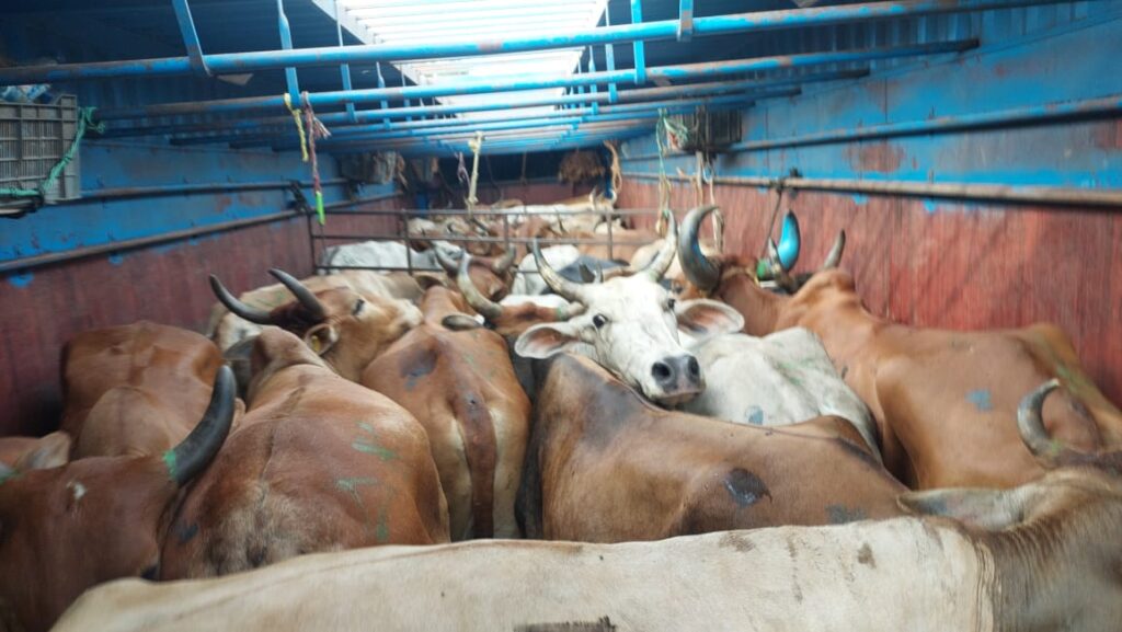 Police should focus on 