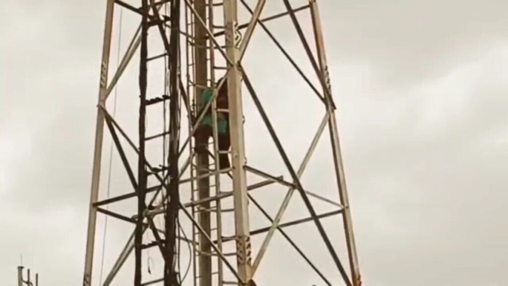 TDP woman activist Meenakshi 