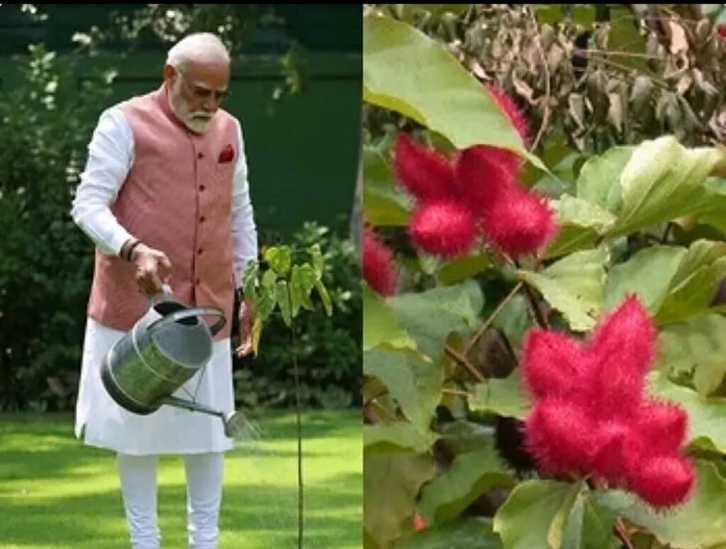 This is the speciality of