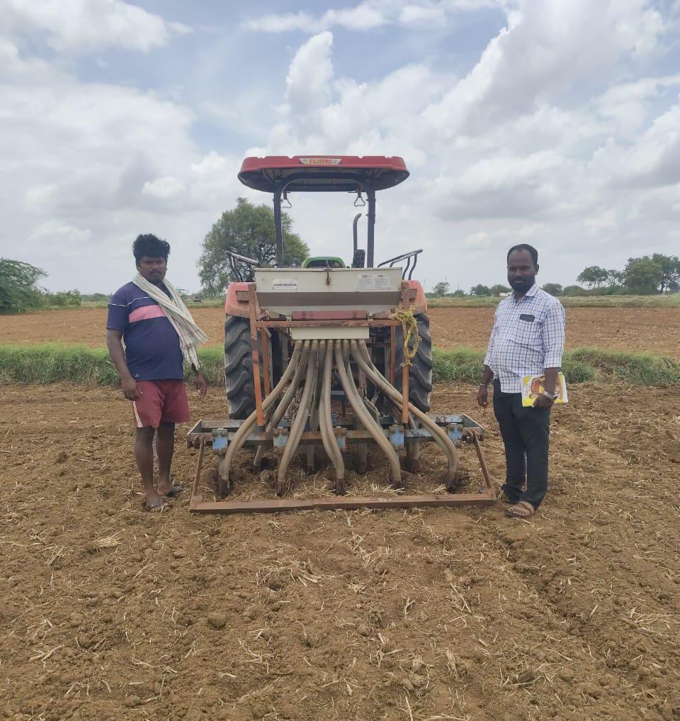 Paddy cultivation method