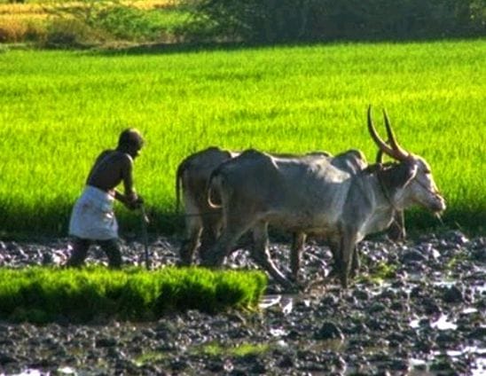 Annadata Sukhibhav scheme to