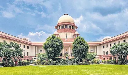 Hearing on local elections