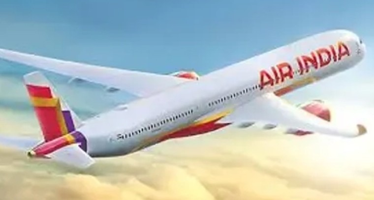Another Air India flight