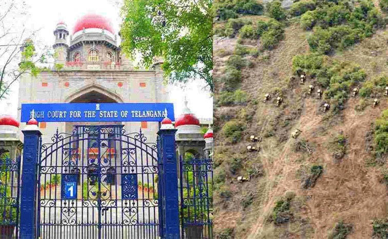 Hearing on Kancha Gachibowli 