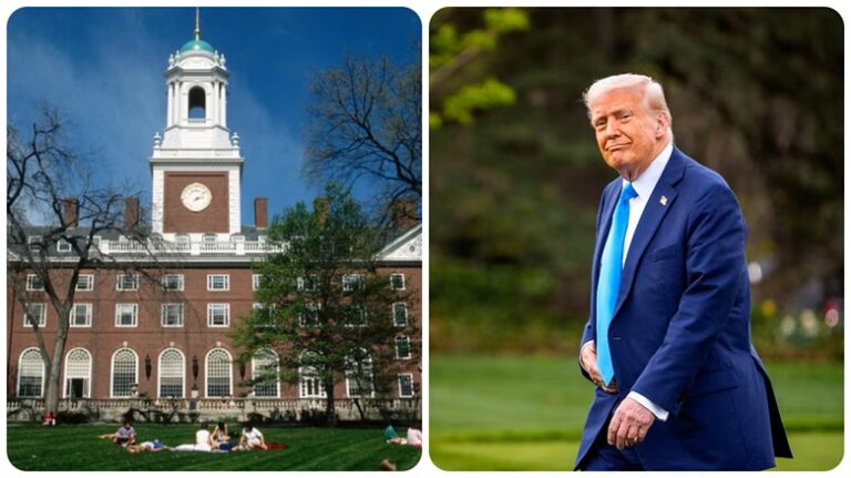 trump-harvard