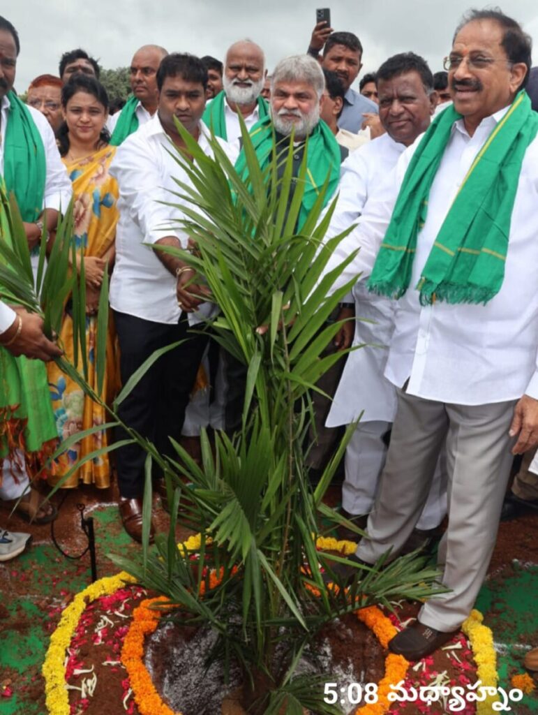 Cultivation of palm oil 