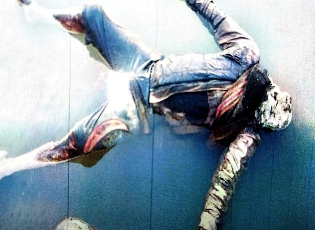 Unidentified body found in 