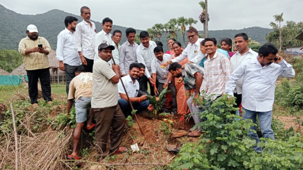 Plantation program as per