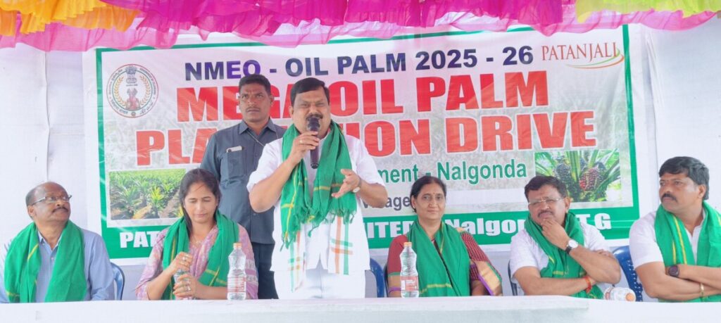 Mega oil farm plantation 