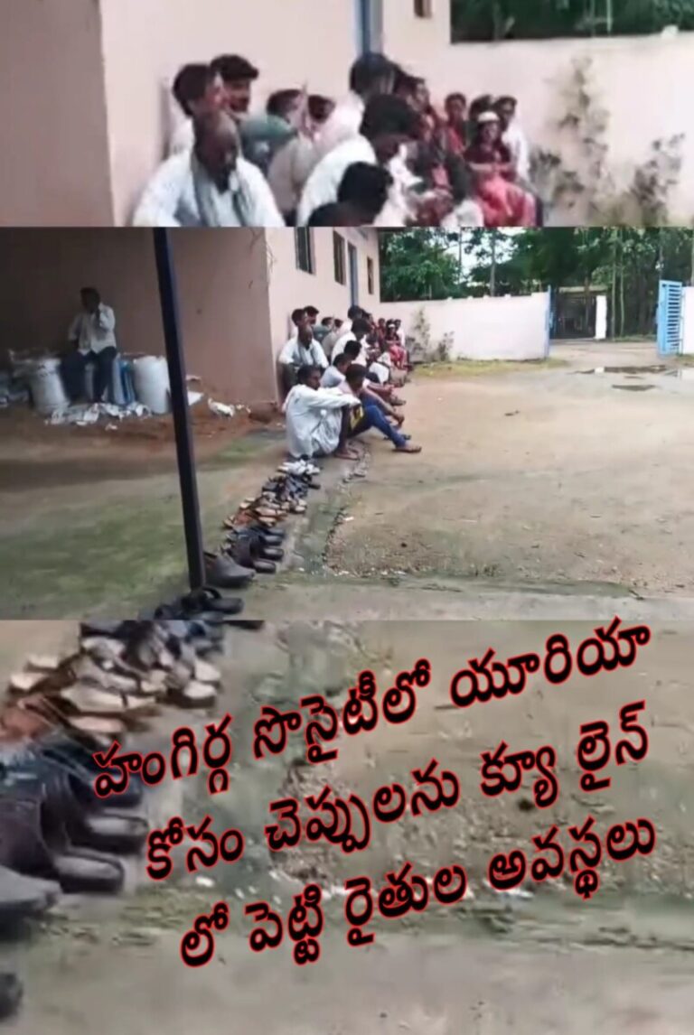 WhatsApp Image 2025-07-10 at 3.17.56 PM