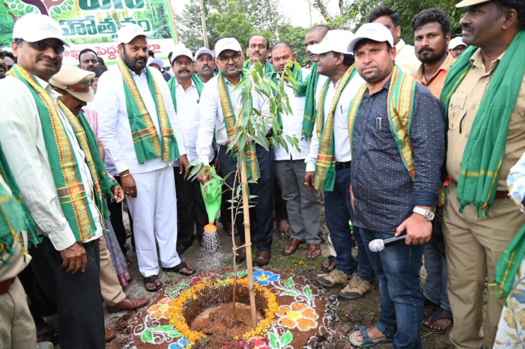 Everyone should plant saplings
