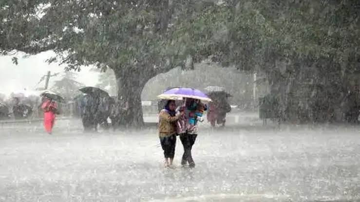 Heavy rain forecast for 