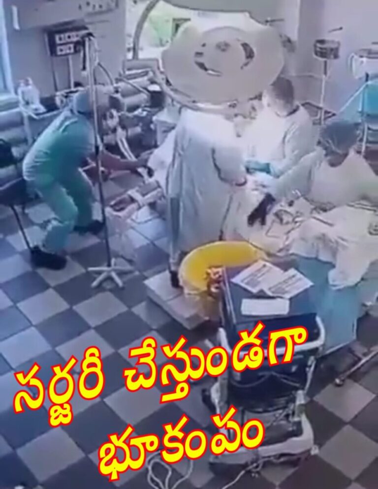 WhatsApp Image 2025-07-30 at 2.41.47 PM