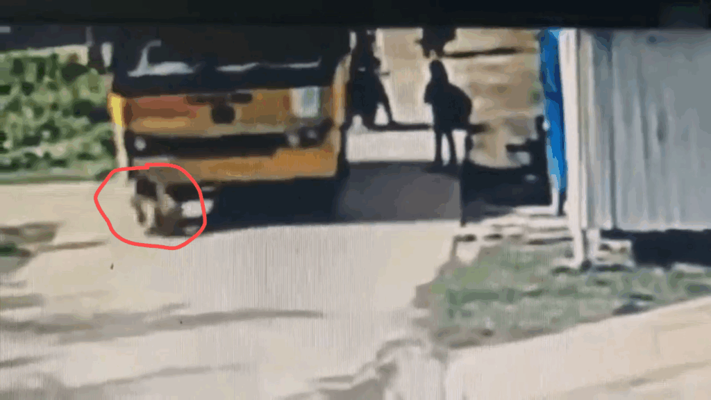 Child dies after falling 