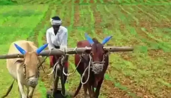 On August 2, Annadata Sukhibhavaa