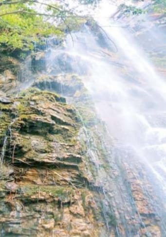 The beauties of nature