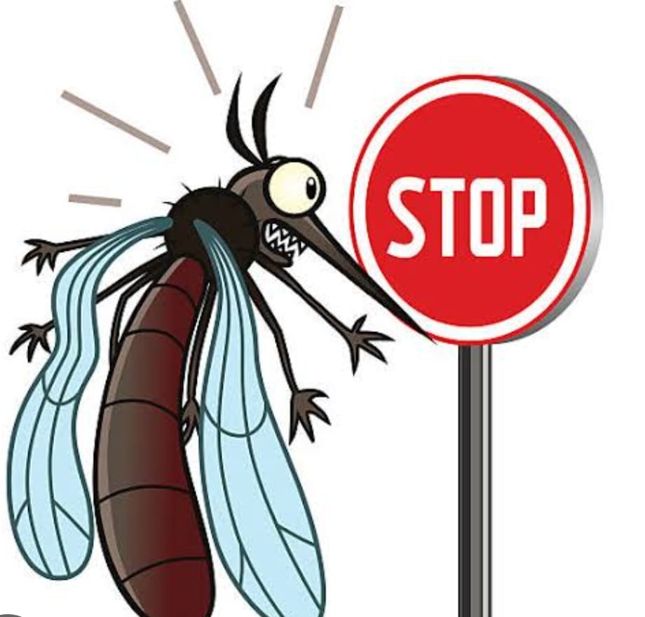 mosquito-borne diseases