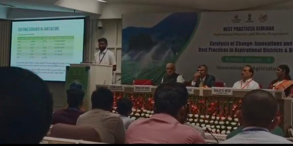 Cultivation of sweet potato 