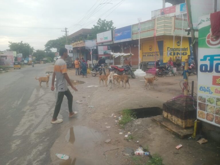 WhatsApp Image 2025-08-08 at 19.41.51