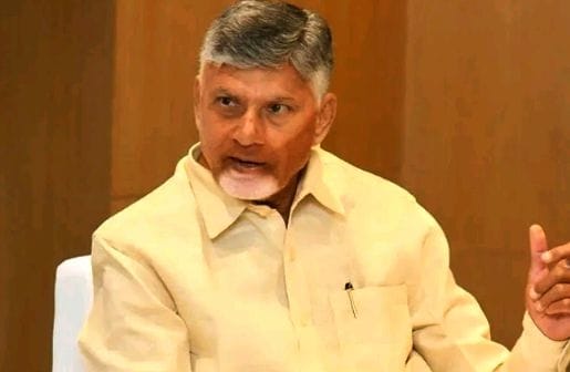 YCP is creating chaos