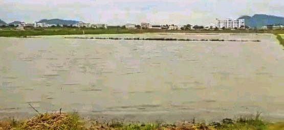 flood water entering crop fields