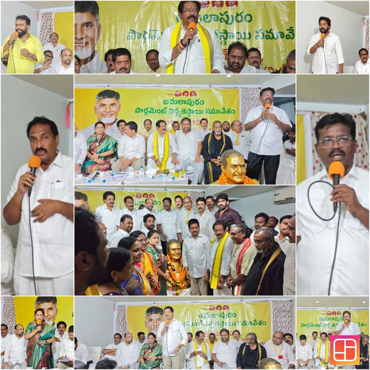 District Telugu Desam Party Meeting