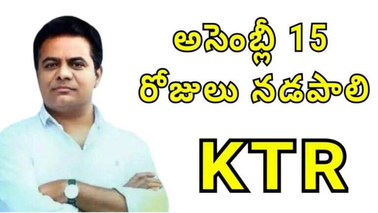 WhatsApp Image 2025-08-30 at 2.41.51 PM (1)