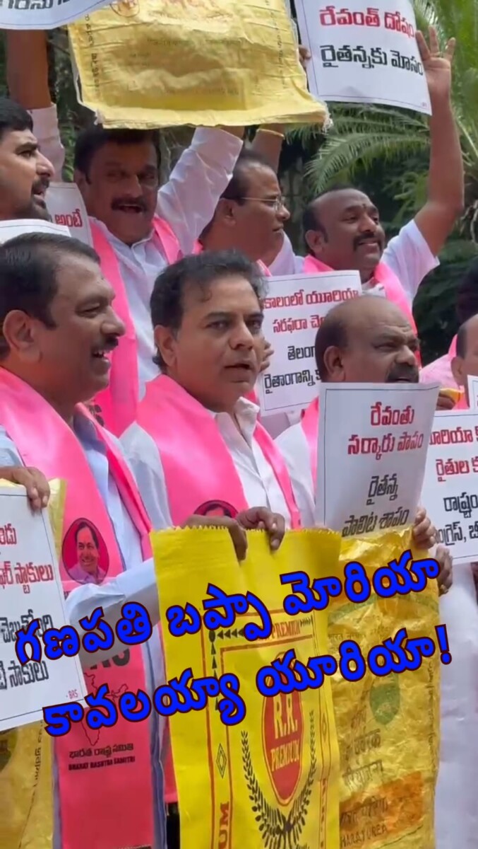 WhatsApp Image 2025-08-30 at 2.41.51 PM