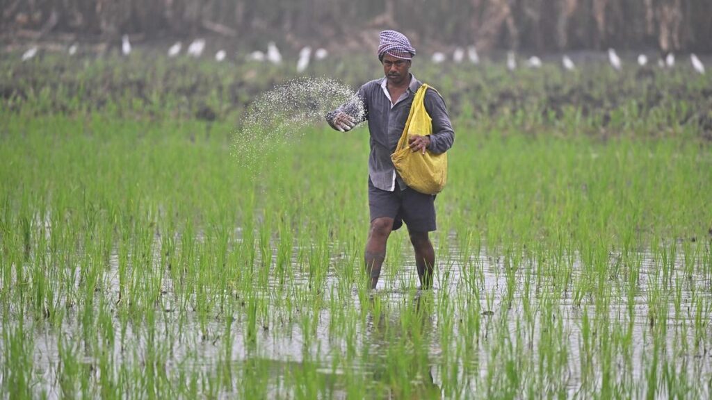 Annadata Sukhibhav amount released 