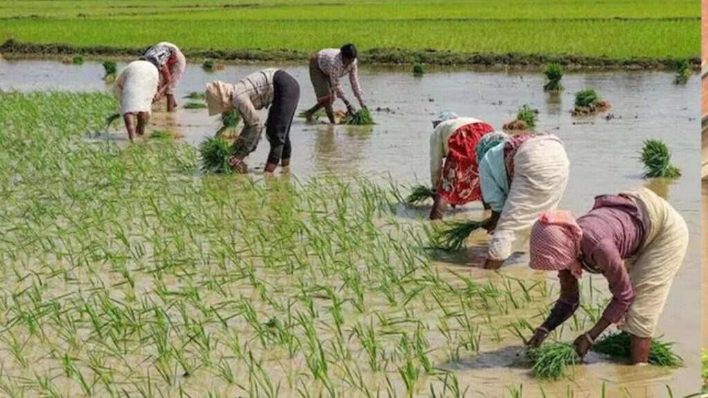 Compensation of Rs. 10 thousand per acre
