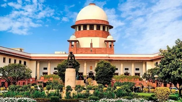 verdict in the stray dog ​​case