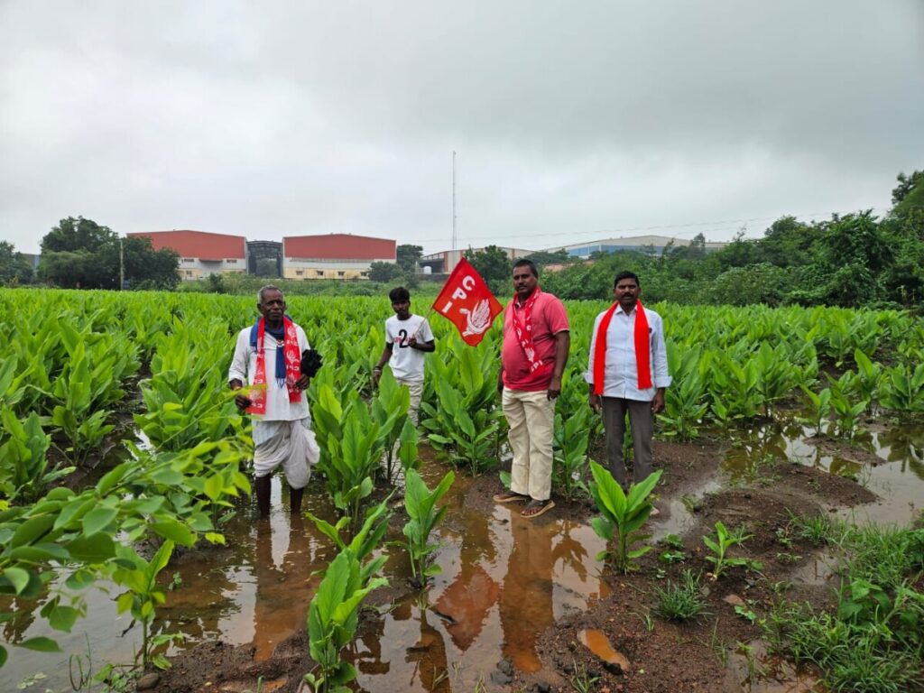 Crops submerged in Bantaram Mandal