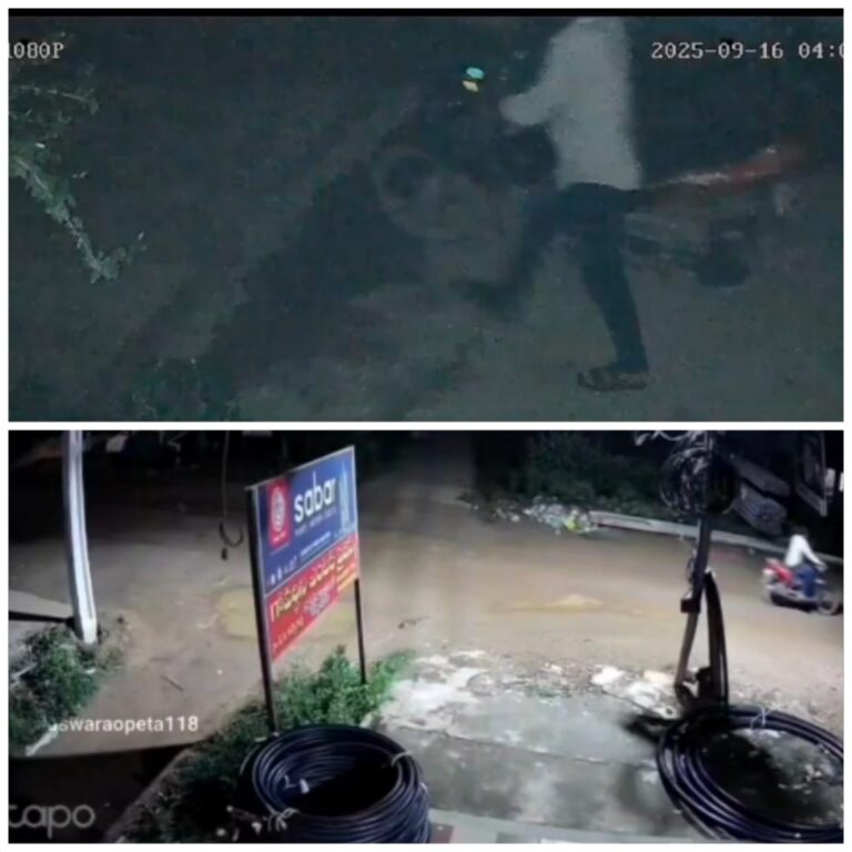 WhatsApp Image 2025-09-17 at 6.04.11 PM