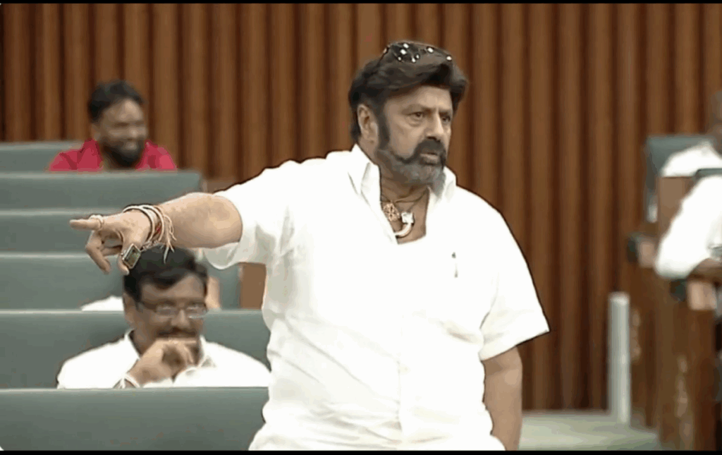 Nandamuri Balakrishna's hot comments 