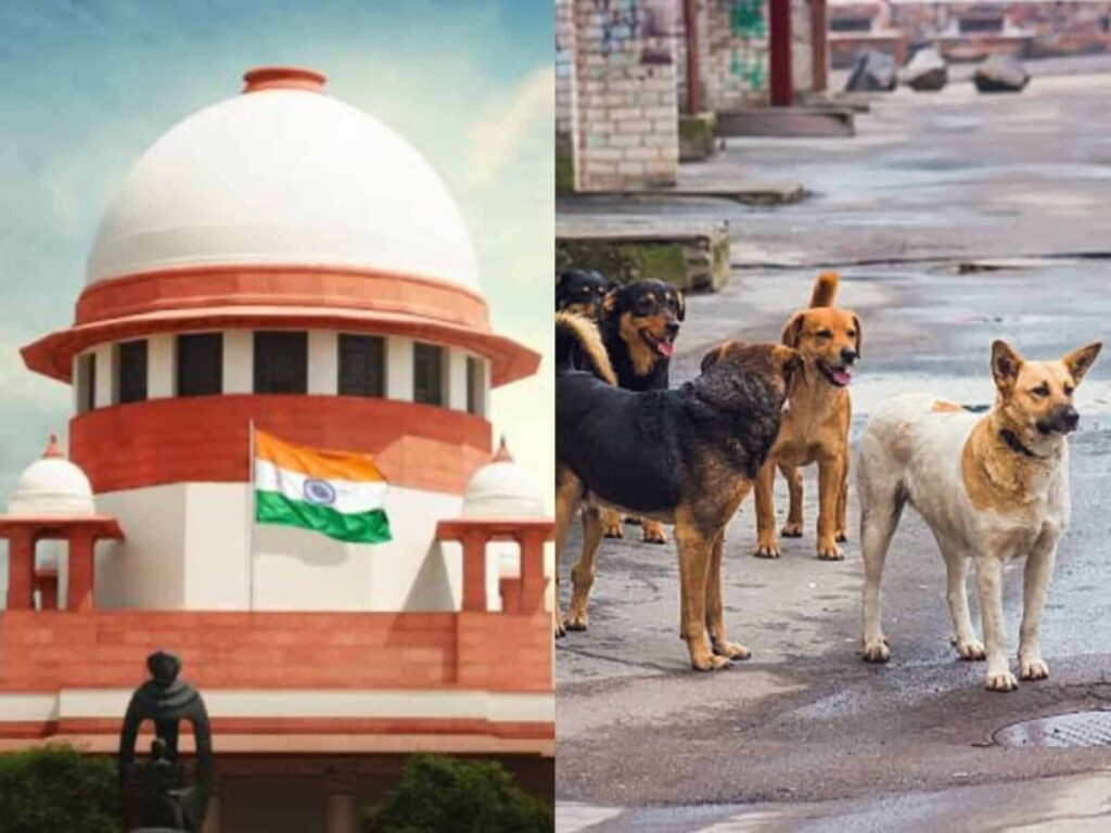 Supreme Court's sensational comments on street dogs