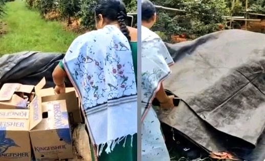 Another adulterated liquor dump 