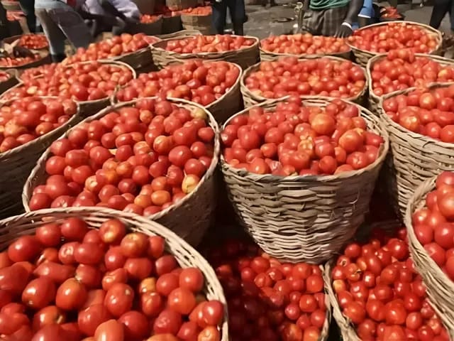 Tomato prices have fallen