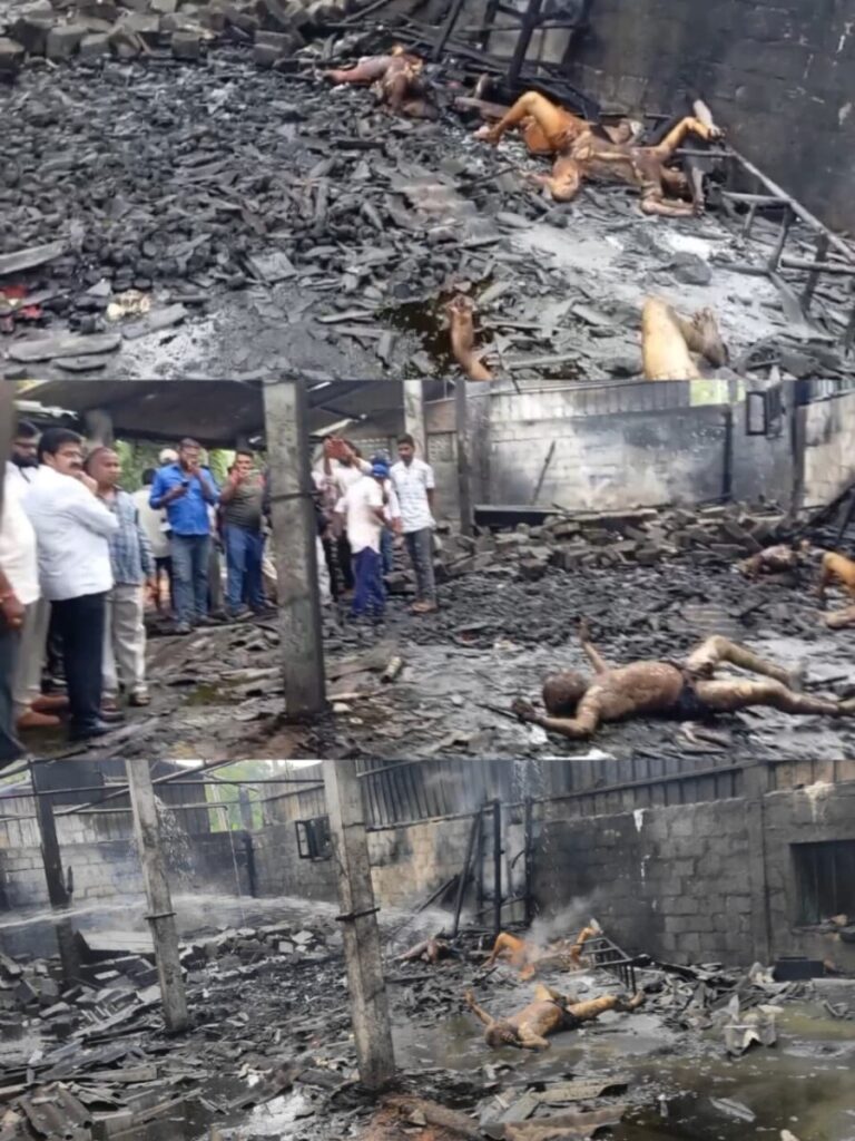 Fire accident in fireworks manufacturing