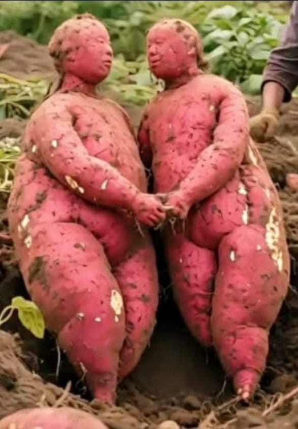 Sweet potatoes in human form