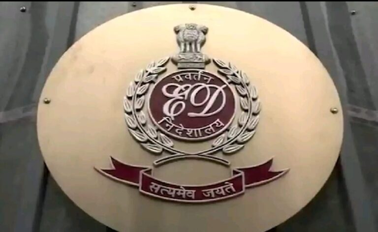 WhatsApp Image 2025-10-13 at 12.46.42 PM